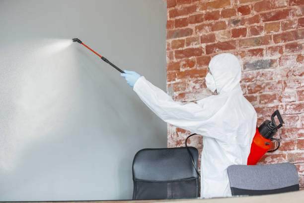 Best Dehumidification Services  in Atlantic Beach, NY
