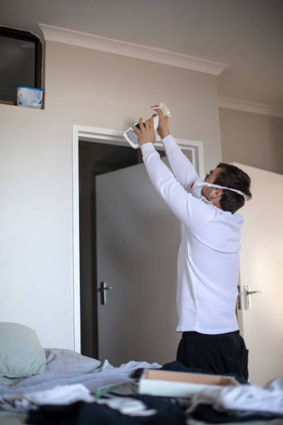  Atlantic Beach, NY Mold Removal Pros