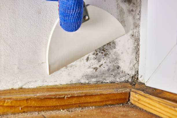 Asbestos and Lead Testing During Mold Inspection in Atlantic Beach, NY
