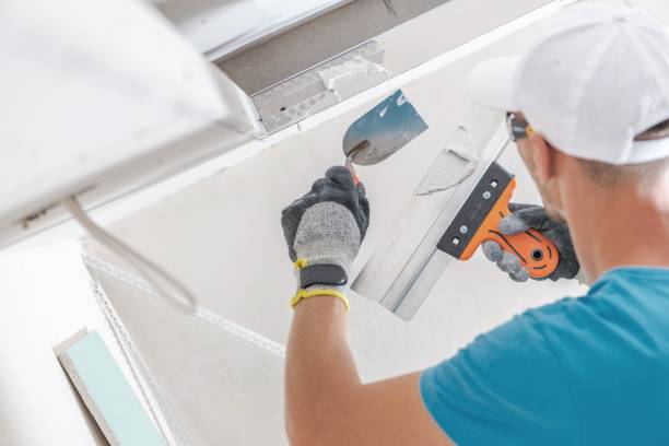 Best Black Mold Removal  in Atlantic Beach, NY